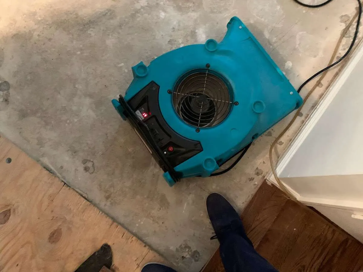 Air mover drying subfloor during Leak Detection & Repair in Caledonia